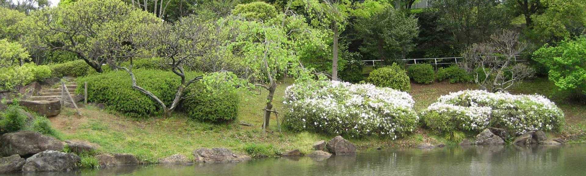 六通公園の樹木が伐採されました。 | 自治会活動-活動報告 | おゆみ野