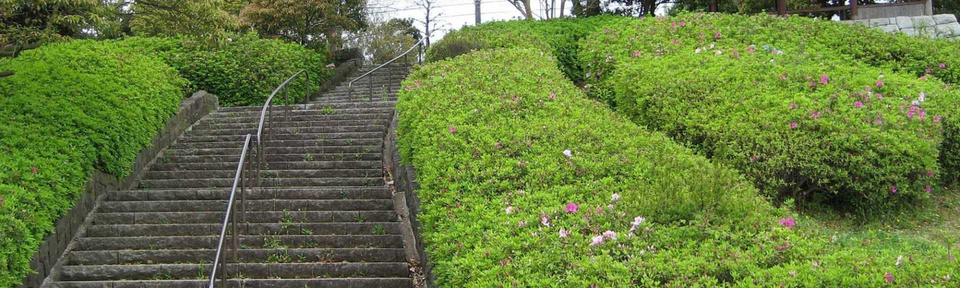 神木の葉 卸売 ご協力いただける方はぜひご相談ください。 a01.jpg